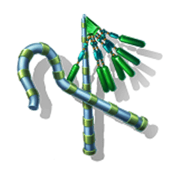 Icon 3 3 Blazing Scarabs Hold and Win