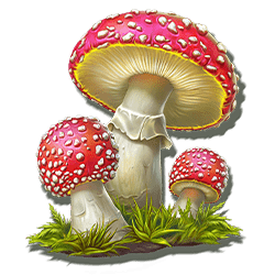 Icon 5 Wild Wild Riches Megaways