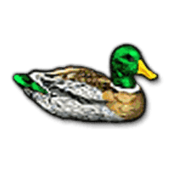 Scatter of Golden Tour Slot – Free Demo, RTP, Features and Slot