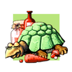 Icon 1 Chinese Kitchen