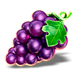 Icon 5 Regal Fruits 40