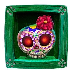 Icon 2 Tequila Fiesta