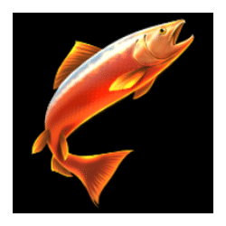 Icon 1 Amazing Catch