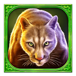 Icon 4 Buffalo Hold and Win