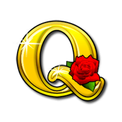 Icon 9 Mustang Money