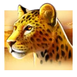 Icon 2 3 African Drums