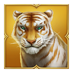 Icon 2 Tiger Tiger Wild Life
