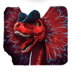 Icon 2 Primal Bet Rockways