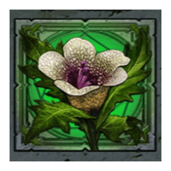 Icon 6 House of Doom 2: The Crypt