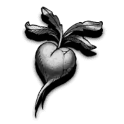 Icon 5 Circle of Life