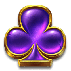 Icon 8 Wild Wild Riches