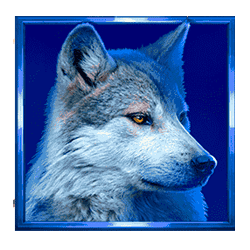 Icon 3 Buffalo Coin: Hold The Spin