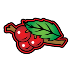 Icon 10 Super Bonus Wild