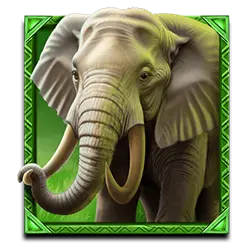 Icon 2 Wild Wildebeest Wins