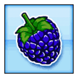 Icon 2 Fruit Cocktail 2