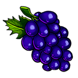 Icon 4 Sizzling Blaze