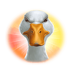 Icon 3 Ted Pub Fruit Series