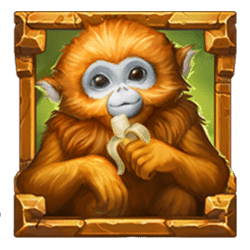 Icon 2 Rainforest Magic