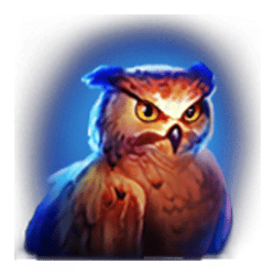 Icon 6 Black Wolf Hold and Win