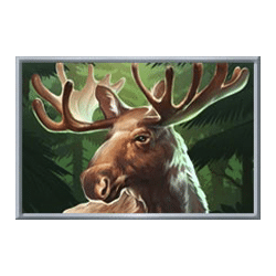 Icon 4 Buffalo Rising Megaways All Action