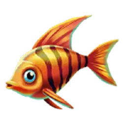 Icon 4 Marlin Masters The Big Haul