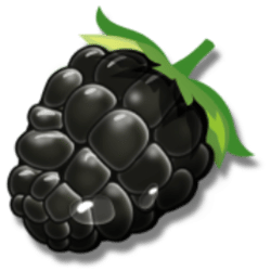 Icon 7 Forest Fortune