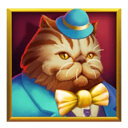 Icon 1 Kitty Kollect