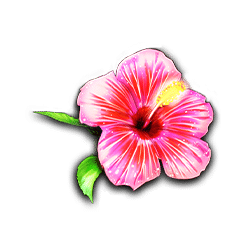 Icon 6 Wild Krakatoa