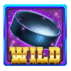 Wild Symbol of Detroit Red Wings Winged Reelers Slot