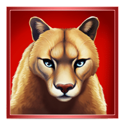 Icon 3 Buffalo’s Sun