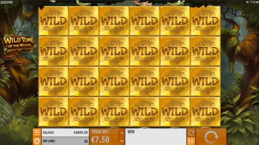Wild Tome of the Woods slot screen 4