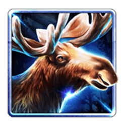 Icon 3 Book Of Wolves