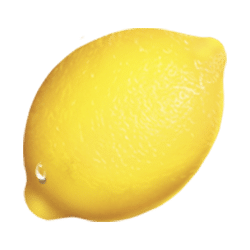 Icon 5 Fruityliner Joker