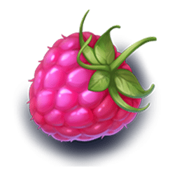 Icon 1 Winterberries 2