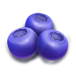 Icon 4 Winterberries 2