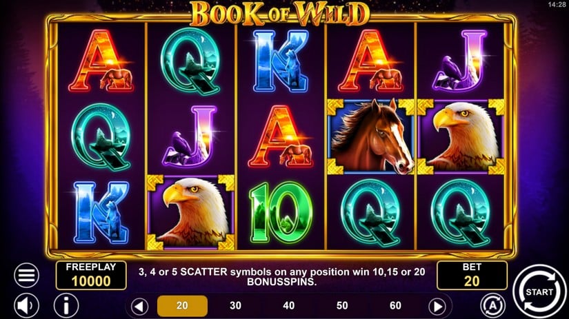 Book of Wild slot screen 1
