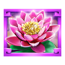 Icon 5 1 Million Fortunes Megaways