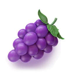 Icon 5 Olympus 7’s Dream Drop