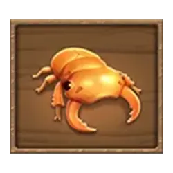 Icon 6 Safari Mystery