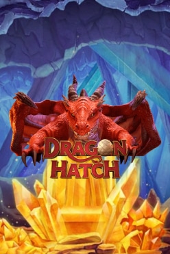 Dragon Hatch