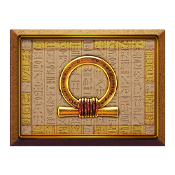 Icon 11 Giza Infinity Reels