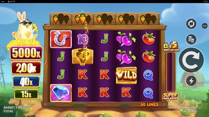 Rabbit Fields slot screen 3