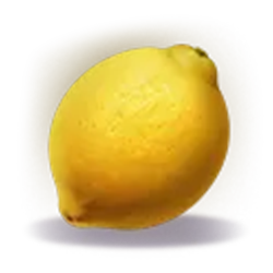 Icon 8 Joker Coins Expanded