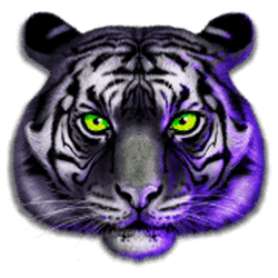 Icon 3 Chinese Tigers