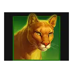 Icon 4 Buffalo Power