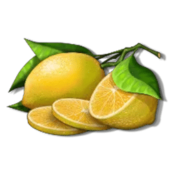 Icon 6 Summer Fruits