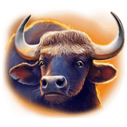 Icon 3 Way Of The Tiger