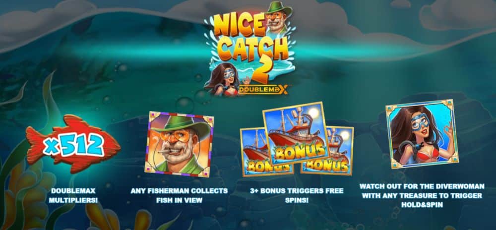 Nice Catch 2 DoubleMax features