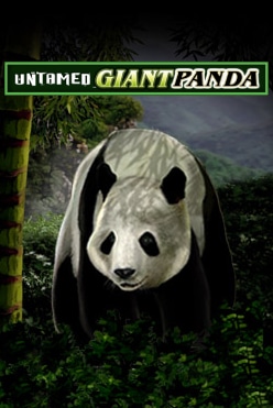 Untamed – Giant Panda