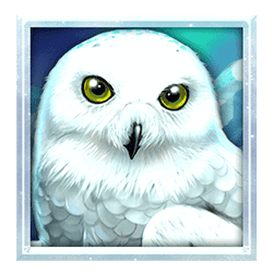 Icon 1 Wolf Fang – The Polar Lights